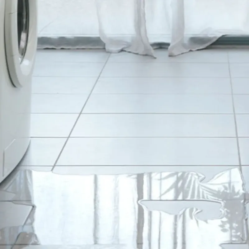 Appliance Leak Cleanup in Winnebago, IL