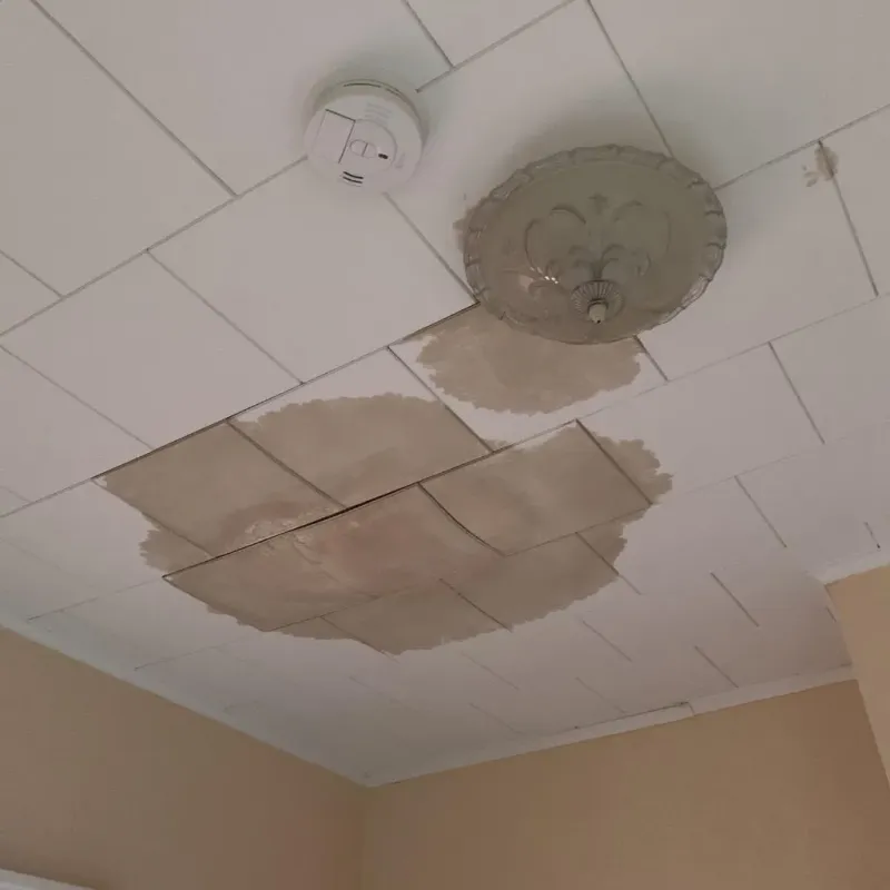 Ceiling Water Damage Repair in Winnebago, IL