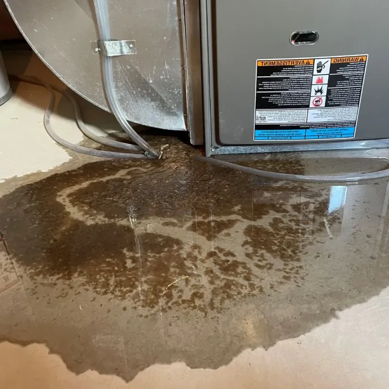Pipe Burst and Leak Restoration in Winnebago, IL
